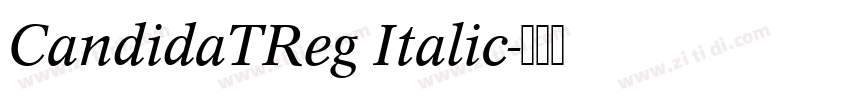 CandidaTReg Italic字体转换